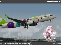 Arashizuki TexturePMDG 737-800ngxu 9Air Blended Winglets series of B-6990