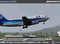 Arashizuki TexturePMDG737-600NGXU ( Virtual ) All Nippon Airways JA307K